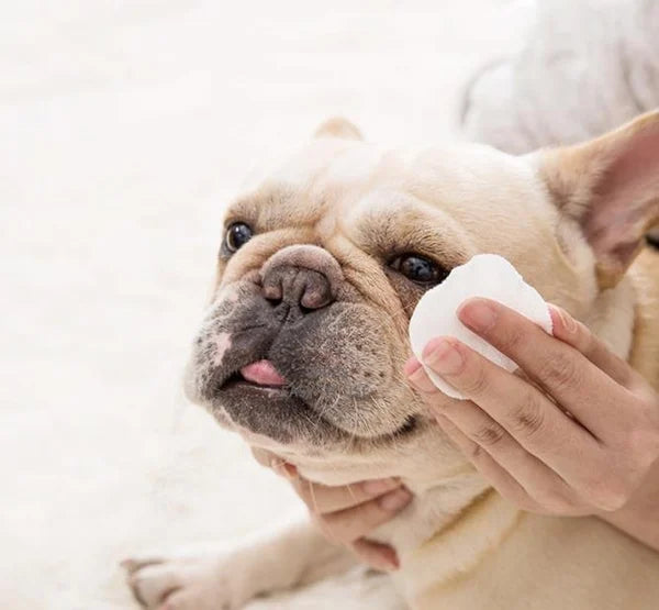 🔥Blowout Hot Sale 🔥Toalhetes para manchas de lágrimas para animais de estimação e um bom companheiro para animais de estimação (🔥COMPRE 3 FRETE GRÁTIS)