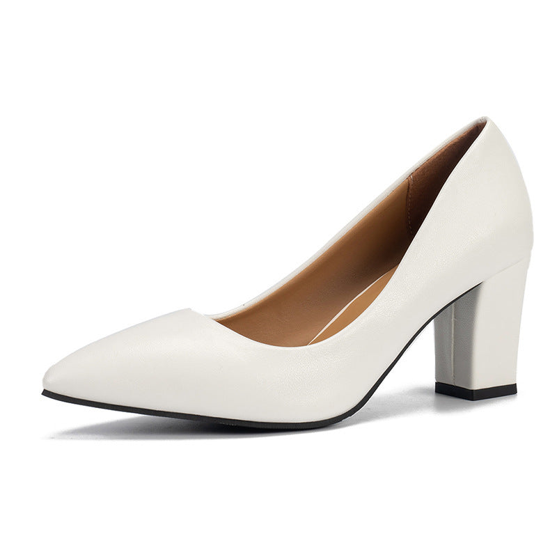 Zapatos individuales de moda zapatos gruesos para mujeres nuevos zapatos de trabajo puntiagudos en otoño 2025