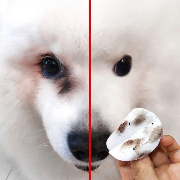 🔥Blowout Hot Sale 🔥Toalhetes para manchas de lágrimas para animais de estimação e um bom companheiro para animais de estimação (🔥COMPRE 3 FRETE GRÁTIS)