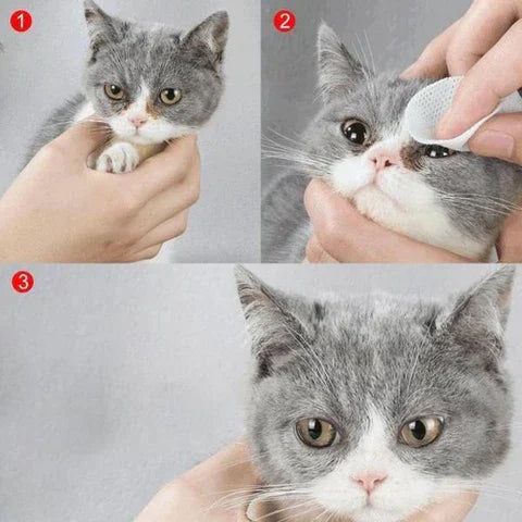 🔥Blowout Hot Sale 🔥Toalhetes para manchas de lágrimas para animais de estimação e um bom companheiro para animais de estimação (🔥COMPRE 3 FRETE GRÁTIS)